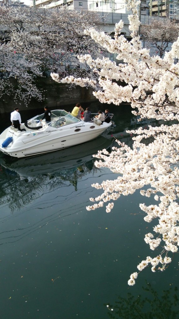 神奈川